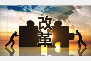 我的新房装修 陶都热线